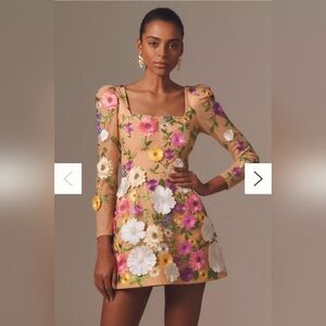 NWT Helsi Ellen Puff-Sleeve 3D Floral A-Line Mini Dress